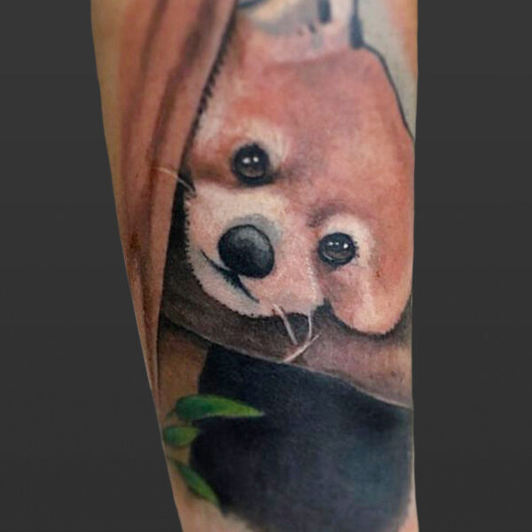 Atticus Tattoo| Colour realism tattoo of a red panda