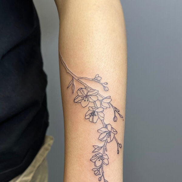 Atticus Tattoo| Fine line tattoo of a cherry blossoms branch