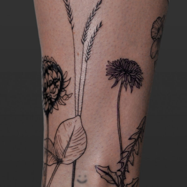 Atticus Tattoo| Fine line tattoo of a dandelion and grain stalks