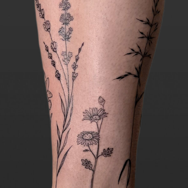 Atticus Tattoo| Fine line tattoos of daisies and flower stems