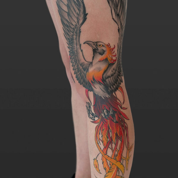 Atticus Tattoo| Tattoo of a black and grey Phoenix with orange, red and yellow tail feathers