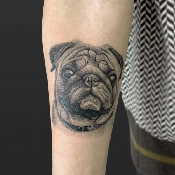 Atticus Tattoo| Black and grey, realism tattoo of a pug