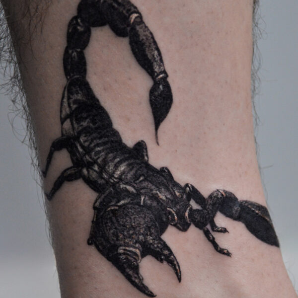 Atticus Tattoo| Black and grey, realism tattoo of a scorpion