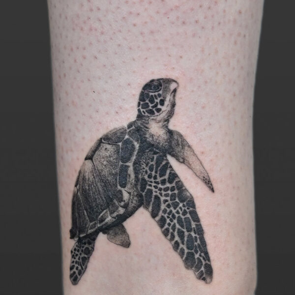 Atticus Tattoo| Black and grey, realism tattoo of a sea turtle