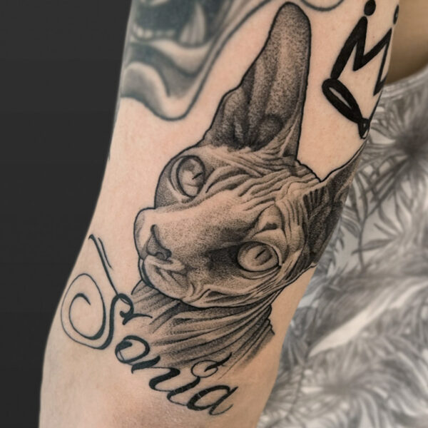 Atticus Tattoo| Black and grey, realism tattoo of a sphynx cat