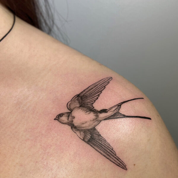 Atticus Tattoo| Black and grey tattoo of a sparrow