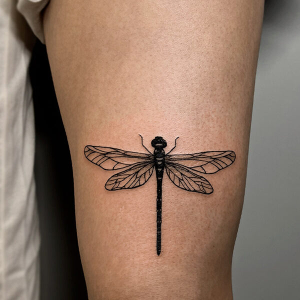 Atticus Tattoo| Black and grey tattoo of a dragonfly