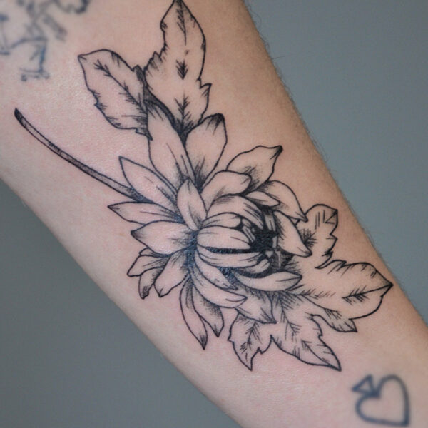 Atticus Tattoo| Black and grey tattoo of an chrysanthemum and maple leaf