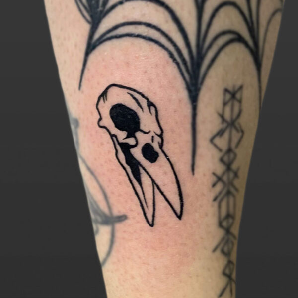 Atticus Tattoo| Blackwork tattoo of a bird skull