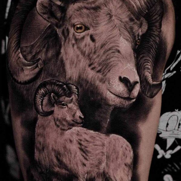 Atticus Tattoo| Black and grey realism tattoo of big horn sheep