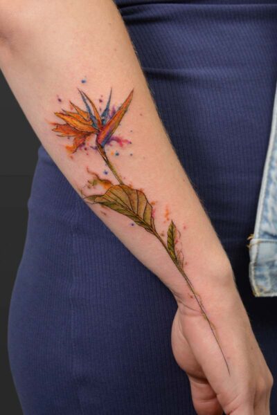 Watercolour & Ink Wash tattoo by Yeva at Atticus Tattoo, Calgary