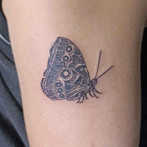 black-white-tattoo-moth