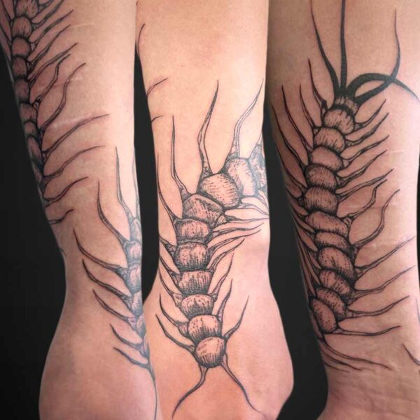 illustrative-tattoo-millipede