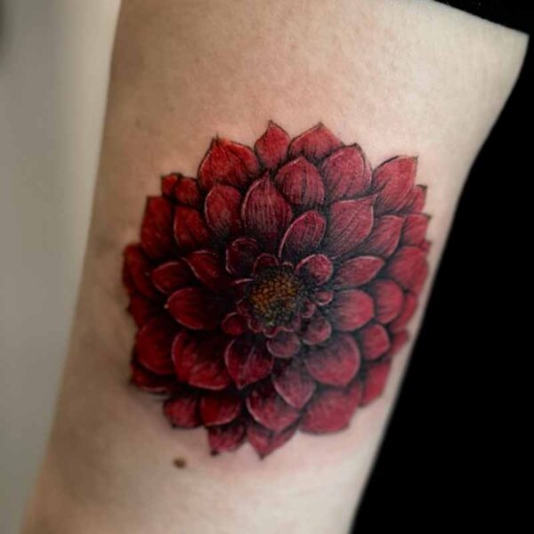 realism-floral-tattoo-dhalia