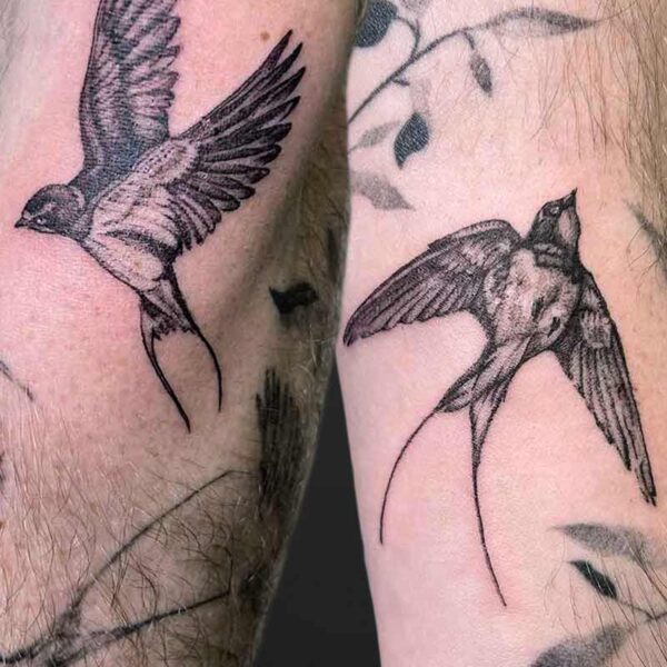 realism-tattoo-swallow-birds
