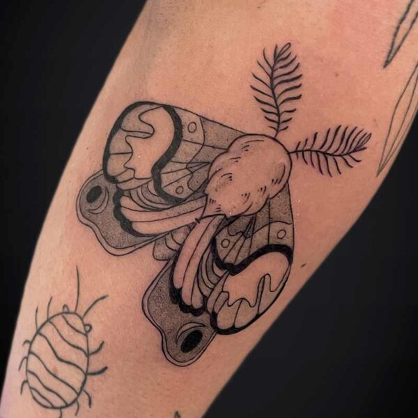 Atticus Tattoo| Black and grey tattoo| Illustrative tattoo| Black and grey tattoo of a moth