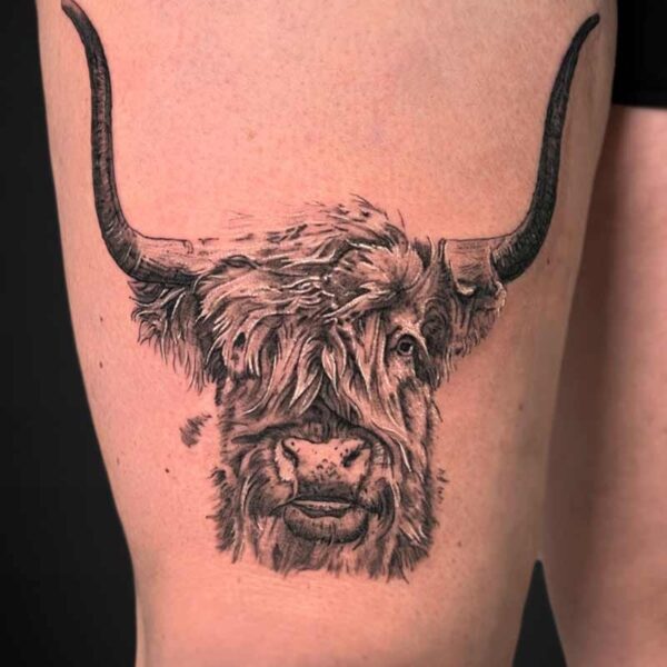 Black and Grey Realism Tattoo- Highland Cow Atticus Tattoo| Black and grey realism tattoo of a highland cow
