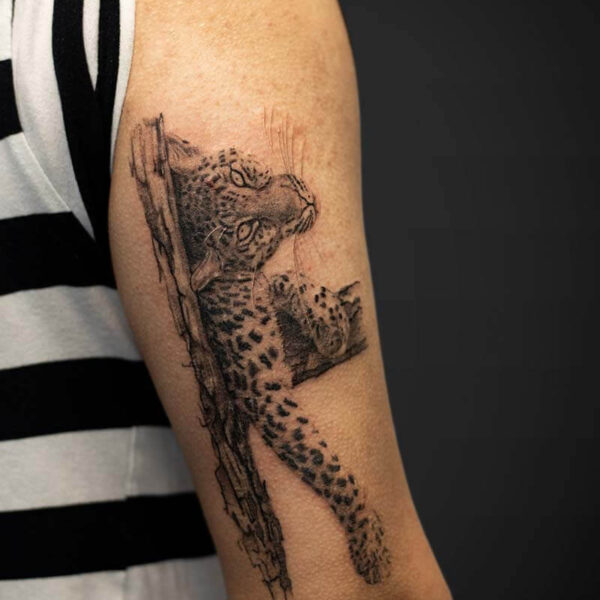 Black and Grey Realism Tattoo- Lazy Leopard Atticus Tattoo| Black and grey realism tattoo of a leopard lounging in a tree
