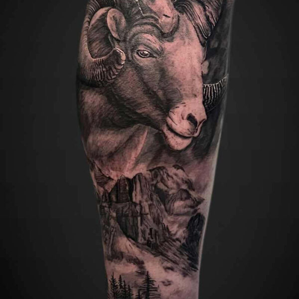 Black and Grey Realism Tattoo- Big Horned Sheep Atticus Tattoo| Black and grey realism tattoo of a big horn sheep and mountains