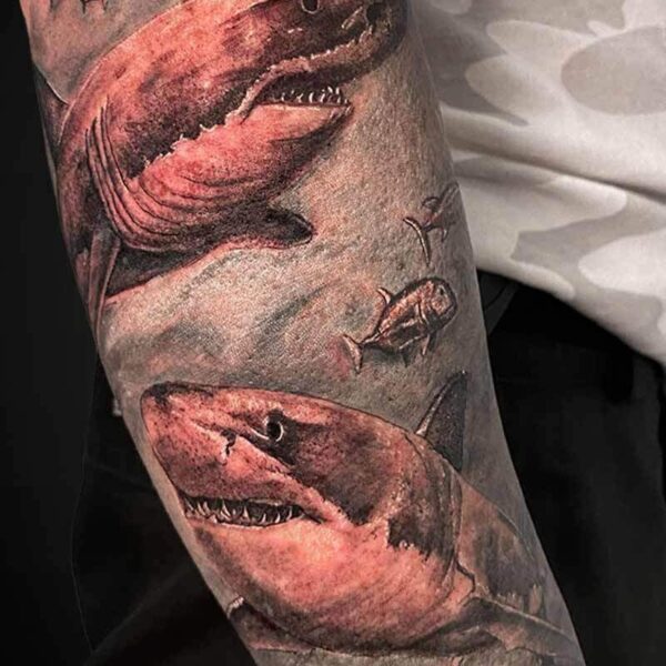 Black and Grey Realism Tattoo- Great Whites Atticus Tattoo| Black and grey realism tattoo of great white sharks and fish