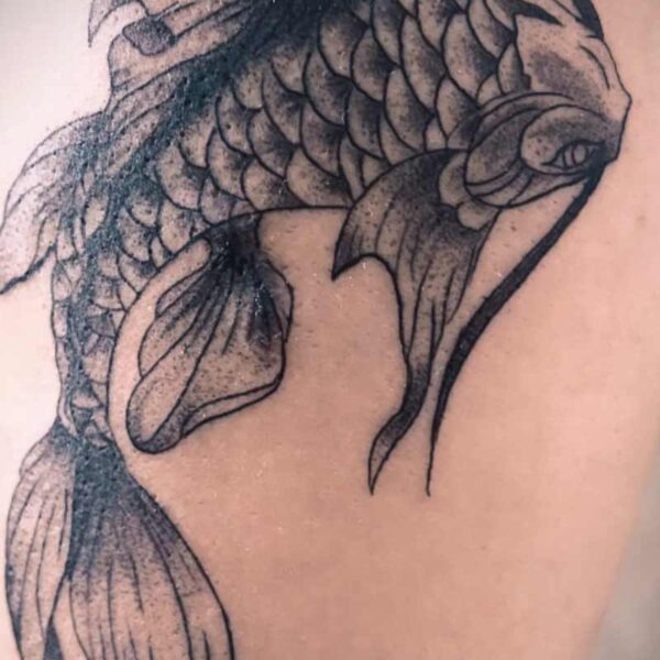 Black and Grey Tattoo- Koi Fish Atticus Tattoo| Black and grey tattoo of a koi fish