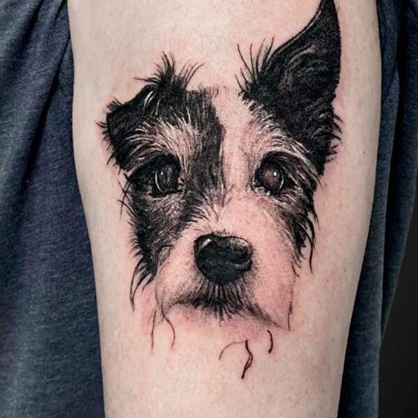 Black and Grey Realism Tattoo- Dog Portrait Atticus Tattoo| Black and grey realism tattoo of a Jack Russel terrier portrait