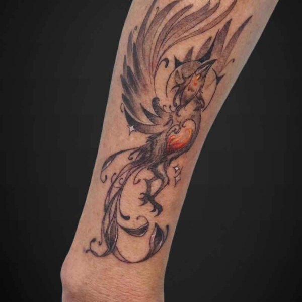 Atticus Tattoo| Illustrative tattoo| Black and Grey tattoo| Phoenix bird| Illustrative tattoo of a Phoenix bird with sparkles