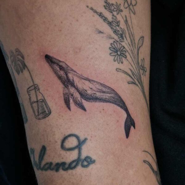 Atticus Tattoo| Realism tattoos| Microrealism tattoo| Humpback whale| Microrealism tattoo of a humpback whale
