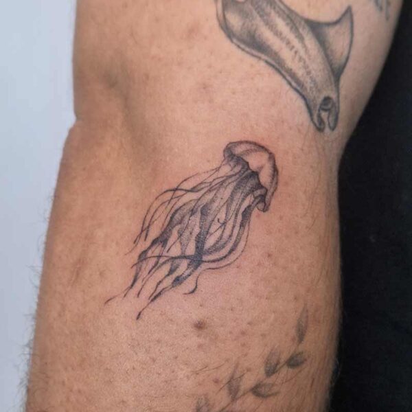 Atticus Tattoo| Realism tattoos| Microrealism tattoo| Jellyfish| Microrealism tattoo of a jellyfish