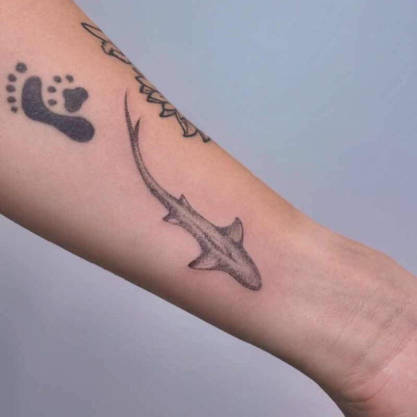 Microrealism Tattoo- Shark Atticus Tattoo| Microrealism tattoo of a shark