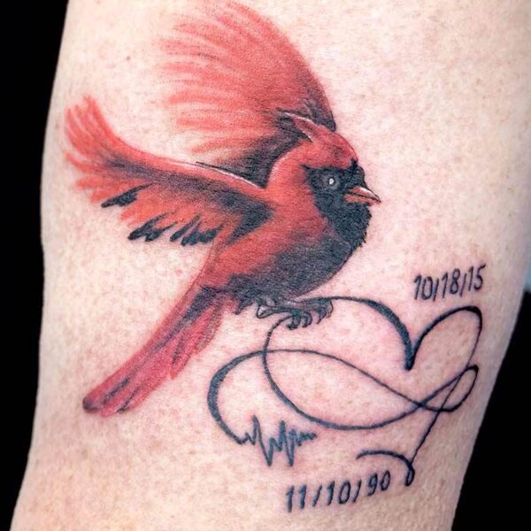 Realism Tattoo- Cardinal Memorial Atticus Tattoo| Realism tattoo of a red cardinal bird with initials and two dates