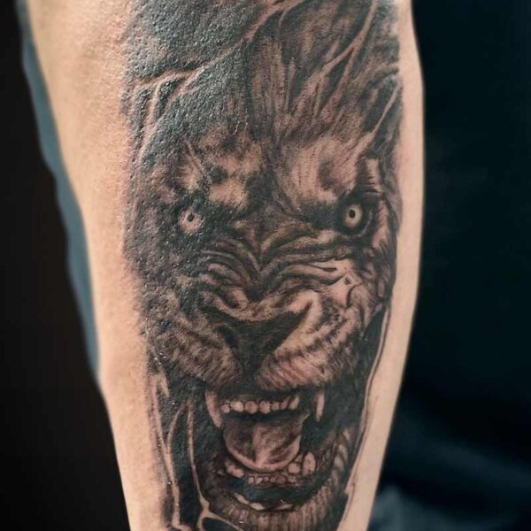 realism-tattoo-lion-face-snarling