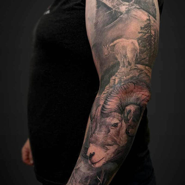 Black and Grey Realism Tattoo- Nature Sleeve Atticus Tattoo| Black and grey realism tattoo of a black bear, mountain goat and big horn sheep