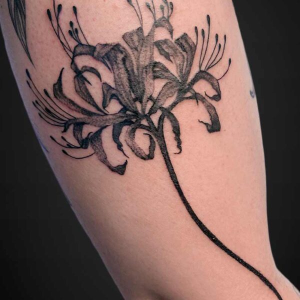 black-grey-tattoo-spider-lily