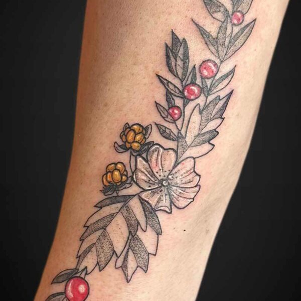 illustrative-tattoo-leaves-berries-flower illustrative-tattoo-leaves-berries-flower