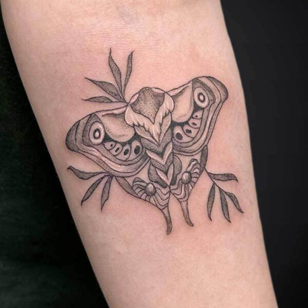 illustrative-tattoo-moth-leaves illustrative-tattoo-moth-leaves