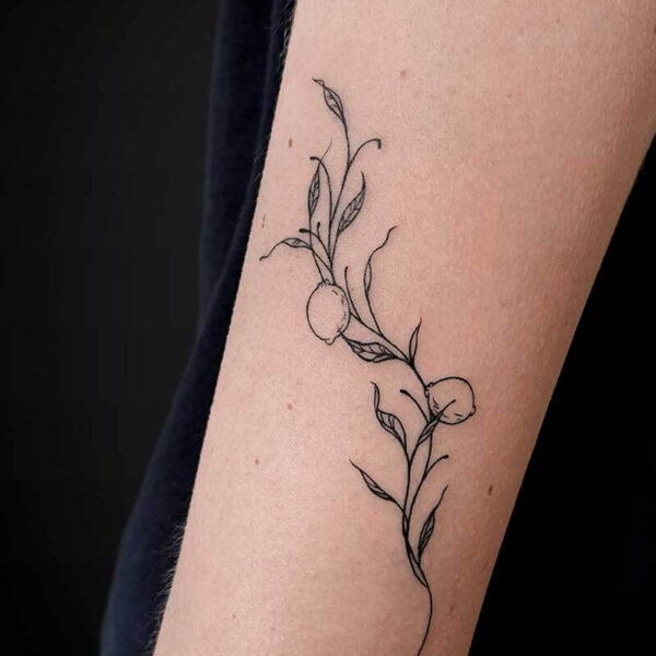 fineline-tattoo-vines-lemons fineline-tattoo-vines-lemons