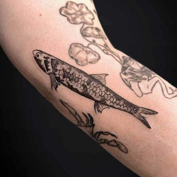 illsutrative-tattoo-fish illsutrative-tattoo-fish
