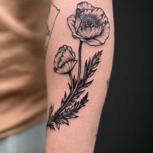 black-grey-tattoo-poppy