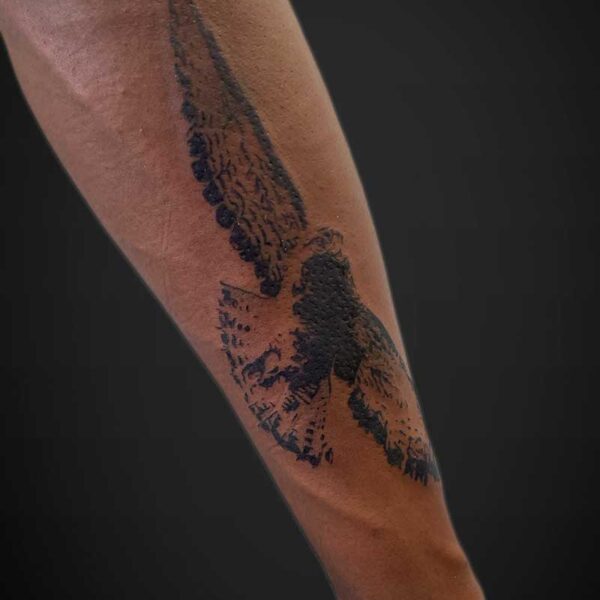 blackwork-tattoo-eagle-flying
