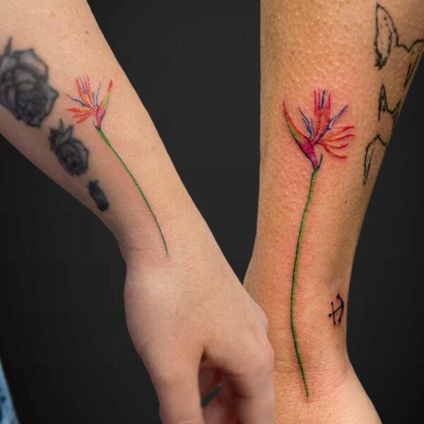 colour-tattoo-bird-of-paradise