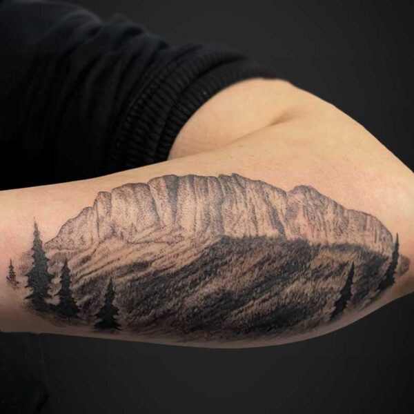 Forearm tattoo showing a detailed black-and-gray mountain range with pine trees along the base.