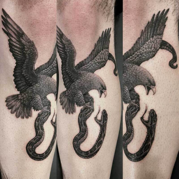 Forearm tattoo of a falcon with wings spread, gripping a curved snake in its talons, shown as three connected panels.