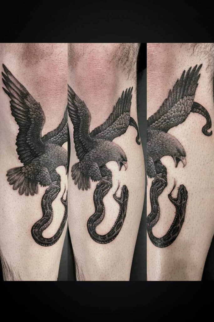 Forearm tattoo of a falcon with wings spread, gripping a curved snake in its talons, shown as three connected panels.
