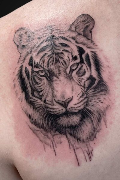 Close-up of a black-and-gray tiger head tattoo on skin, with detailed fur shading and a dripping lower edge effect.