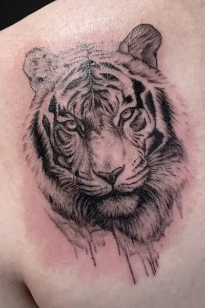 Close-up of a black-and-gray tiger head tattoo on skin, with detailed fur shading and a dripping lower edge effect.