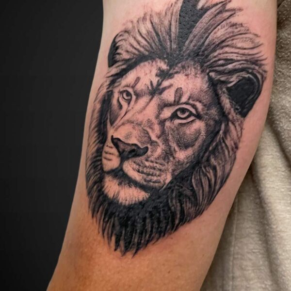 Black-and-gray tattoo of a lion's head on the upper arm, with a detailed mane and realistic shading.