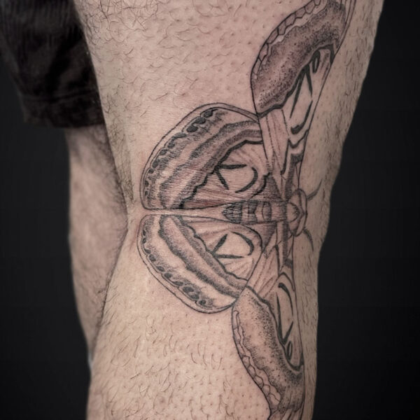 Butterfly tattoo wrapped around a man's lower leg, showing bold wing outlines and detailed shading.