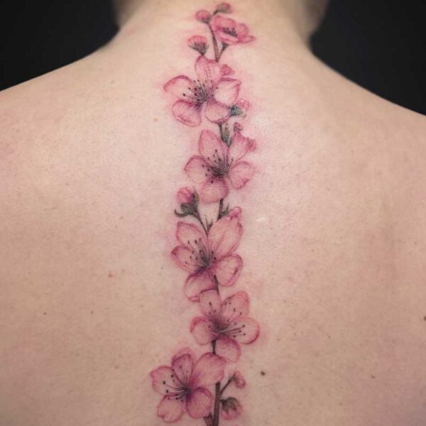 colour-realism-tattoo-cherry-blossoms Back view of a vertical pink cherry blossom tattoo running along the spine