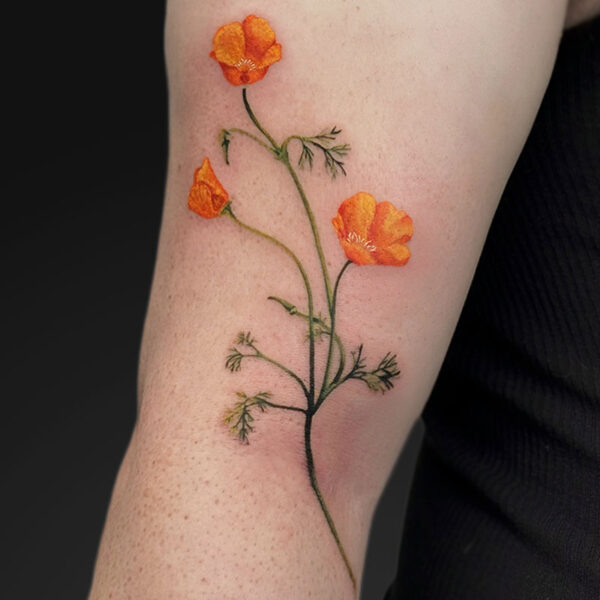 Orange poppy tattoo with green stems on the forearm, featuring three blossoms and delicate leaves on bare skin.